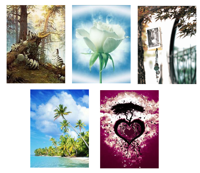 Related Pictures And Fall Purple Blouse Mobile Wallpaper